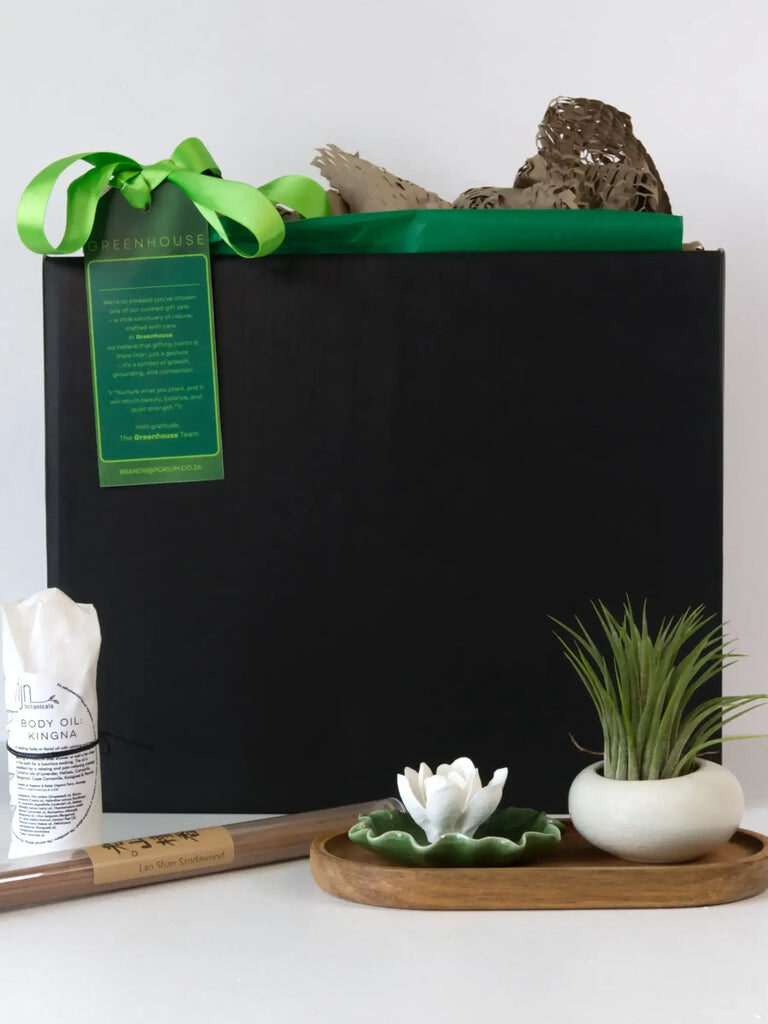 Untamed Aerial Plant Gift Set