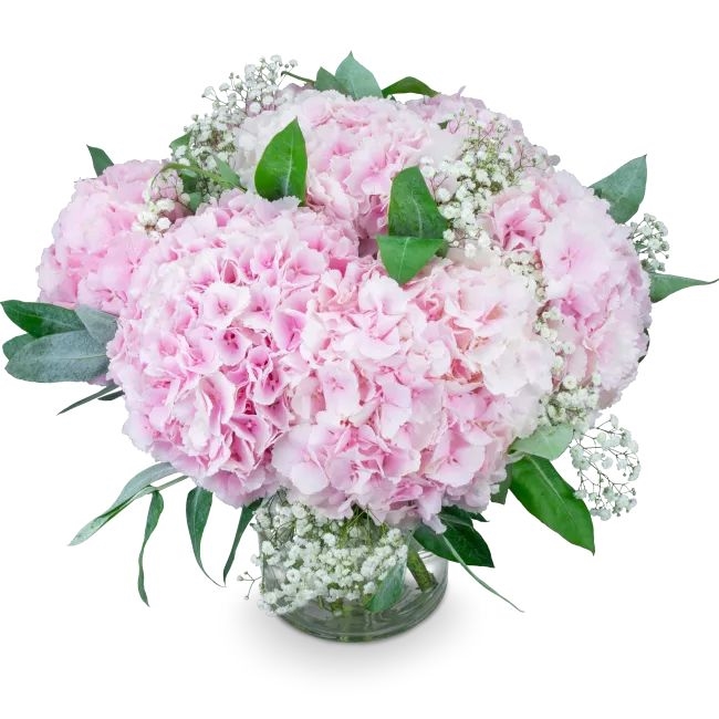 bouquet of hydrangeas – Eleonora (Small)