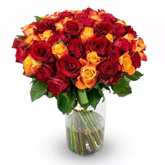 Bouquet of red and orange roses – Florence (11 Stems)