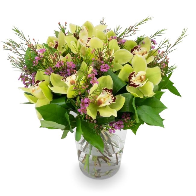 Bouquet of orchids – Perroquet (Small)