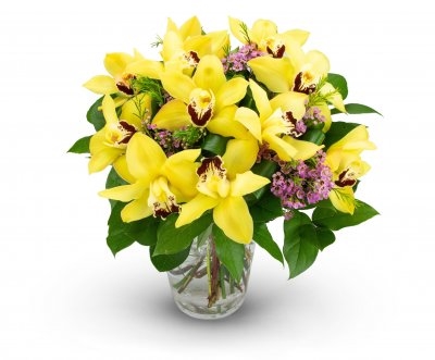 Cyrille (Small 7 Blossoms)