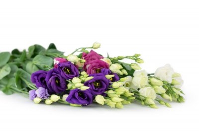 Eustoma on request (Leaves MIX)