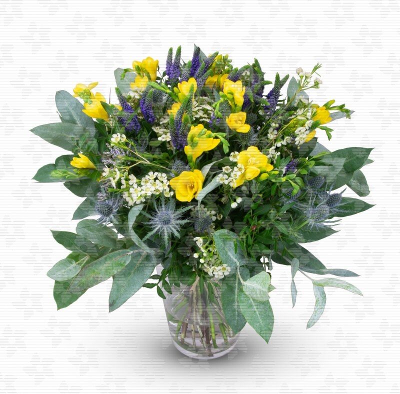 Octave - yellow freesia