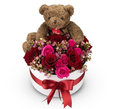 Box of flowers Brown Teddy (Medium)