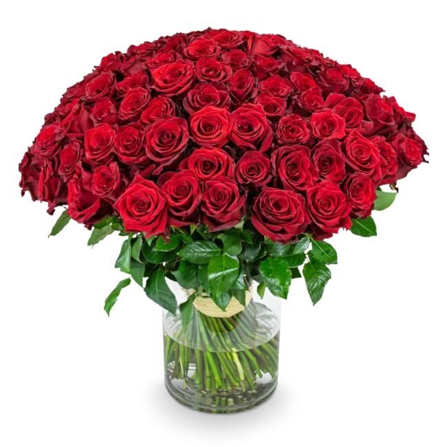 bouquet of roses – Mercedes (11 Stems)