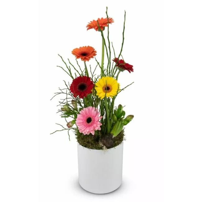 Box of flowers – Estelle (Small)