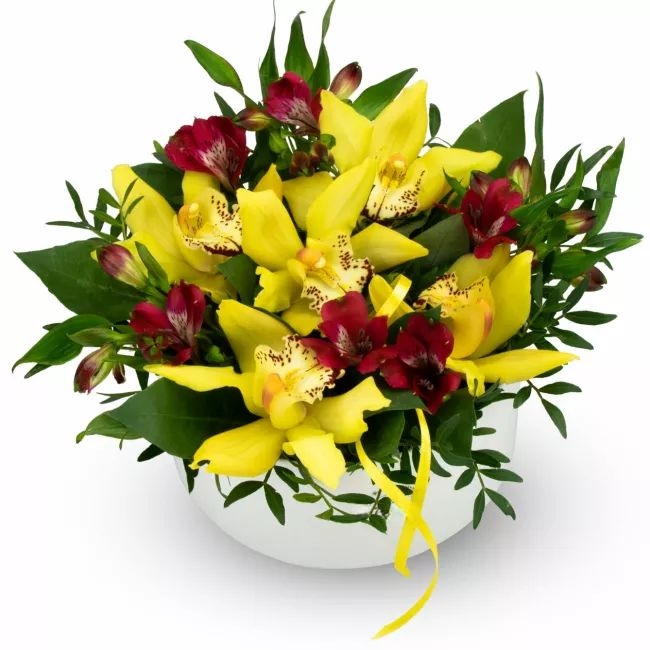 Box of flowers – Rio (Medium)