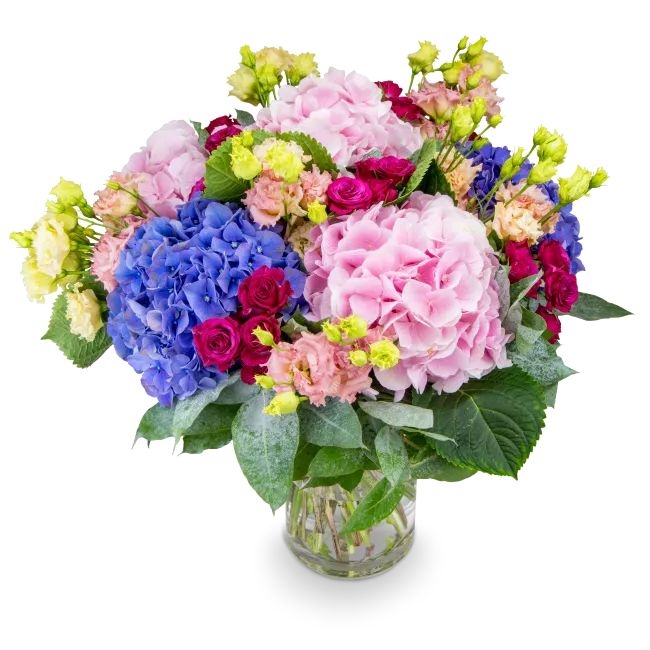Bouquet of Hydrangeas and Spray Roses – Gabin (Small)