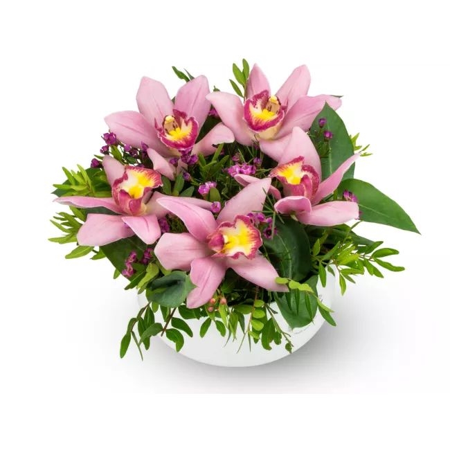 Box of flowers – Elodi (Medium)