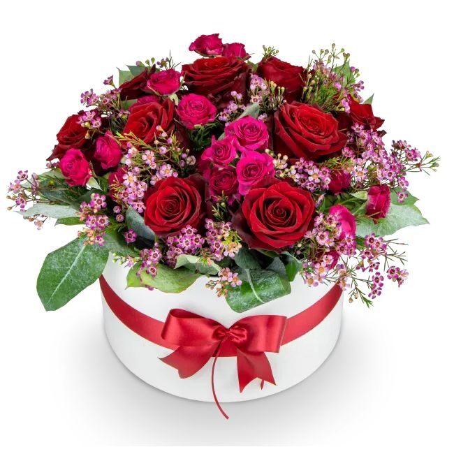 Box of red and pink roses – Magenta (Small)