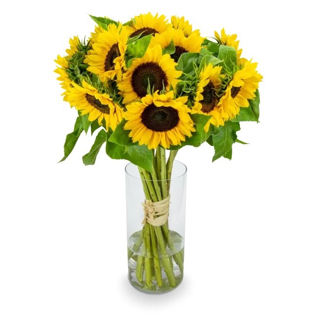 Bouquet of sunflowers – Tournesol (Small)