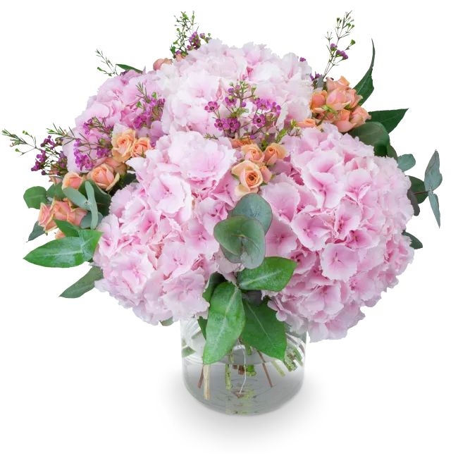 A bouquet of hydrangeas – Mireille (Small)