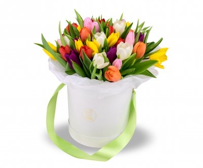 Box of flowers Arabela (Medium 49 Stems)