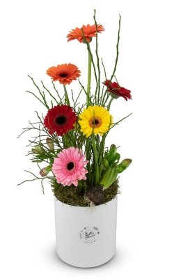 Box of flowers Estelle