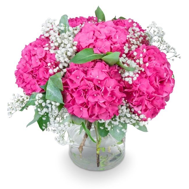 Bouquet of hydrangeas – Pink Eleonora (Small)
