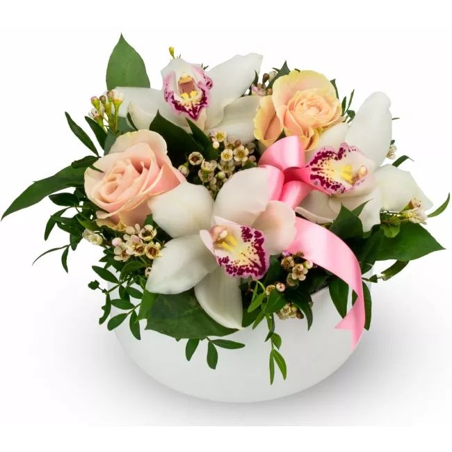 Box of flowers – Amellia (Medium)