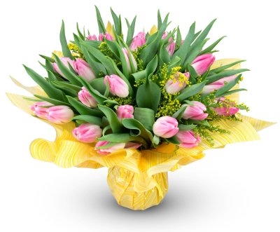 Justyne - pink tulips (Small)
