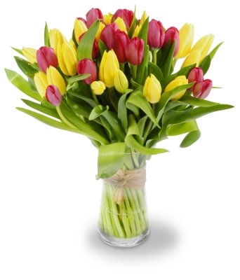 Louise (Small 21 Stems)