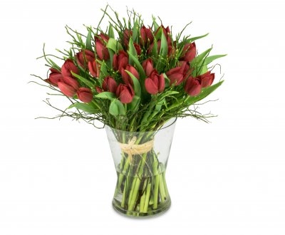 Martine - red tulip (Small)