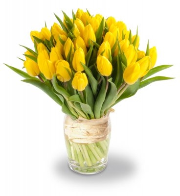 Maxime (Small 21 Stems)