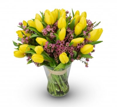 Pierre - yellow tulip (Small)