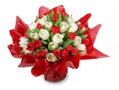 Raissa - red and white tulip (Small 21 psc)