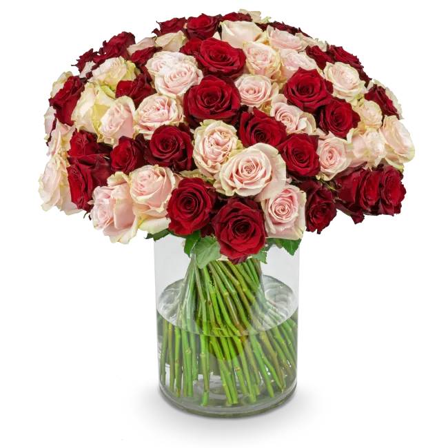 Bouquet of pink and red roses – Lisa (11 Stems)