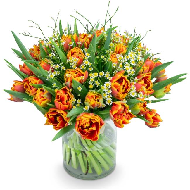 Bouquet of premium tulips – Queensday (Small)