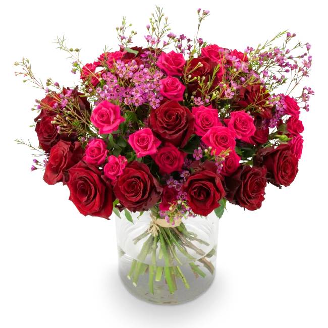Bouquet of roses – Scarlet (Small)