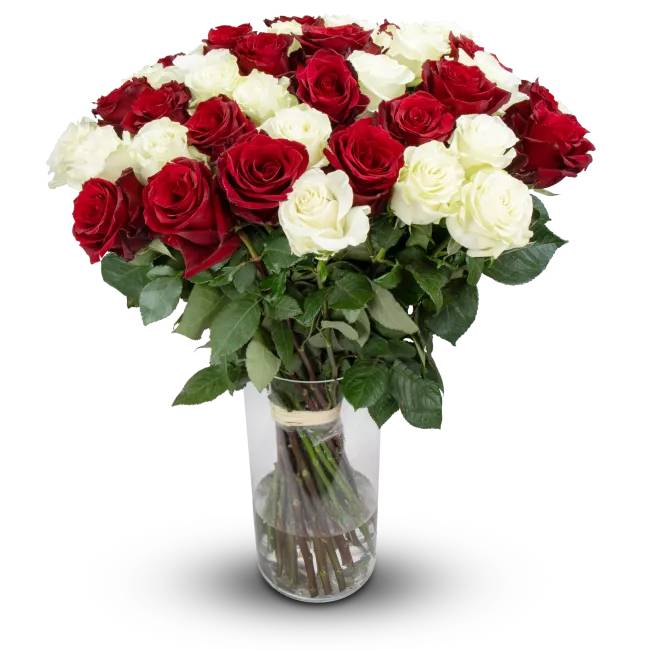 Flowers of ecuadorian roses – Vilette (11 Stems)