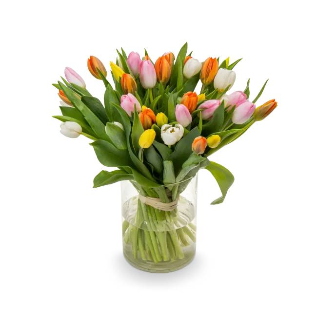 Bouquet of tulips – Audrey (Small 21 pcs)