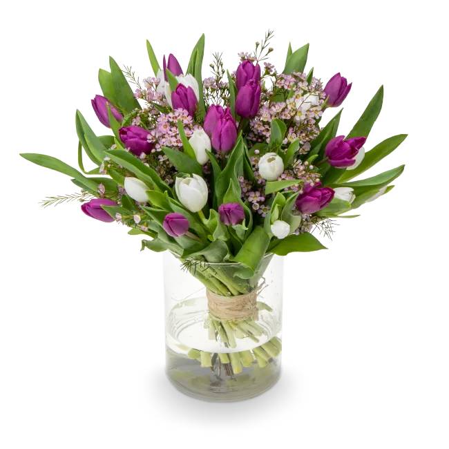 Bouquet of tulips – Amadine (Small)