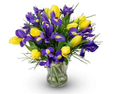Spring (Small)