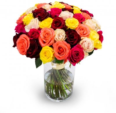 Suzanne (Small 11 Stems)