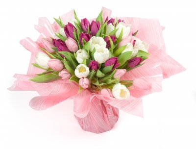 Tulipe - pink tulip (Small 21 psc)