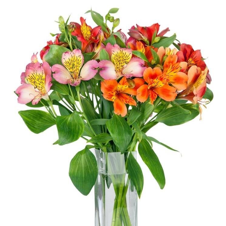Shades Of Joy Bouquet
