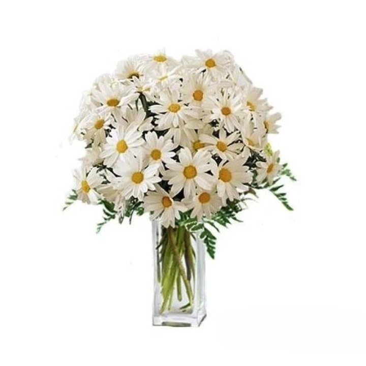 33 Daisies Bouquet