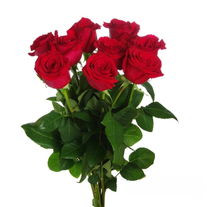 "I Love You" Fabulous Roses