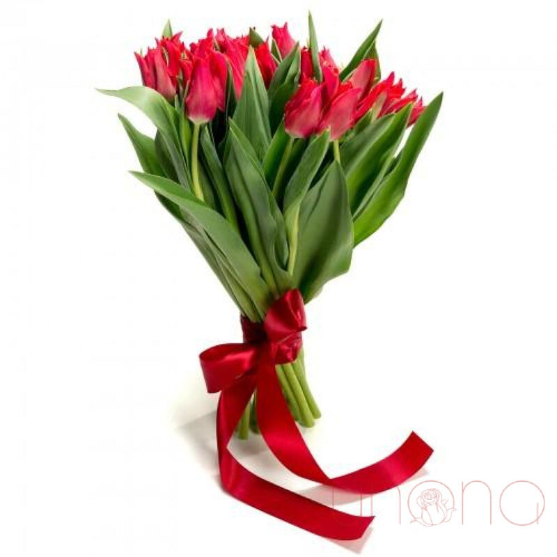 Magnificent Tulips Bouquet (Regular)