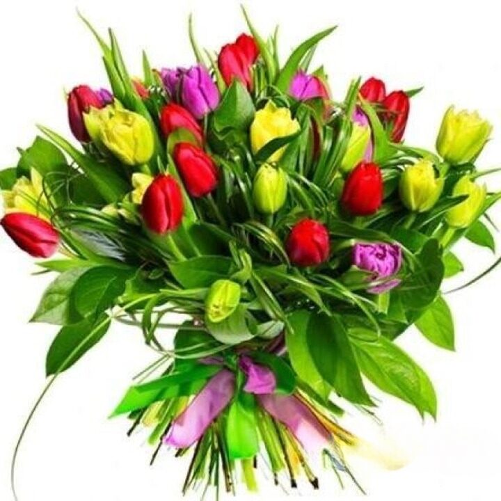 Spring Song - 37 Tulips Bouquet with Seasonal Greens (regular - fresh, quality flowers)