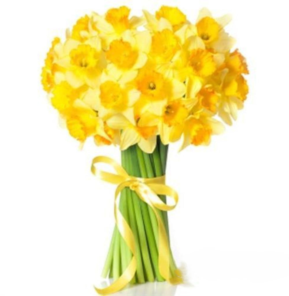 Sunny Smiles Bouquet - 27 Golden Yellow Daffodils (regular - as shown)