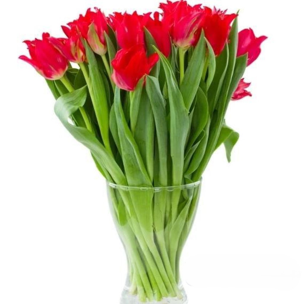 Tempting Tulips Bouquet