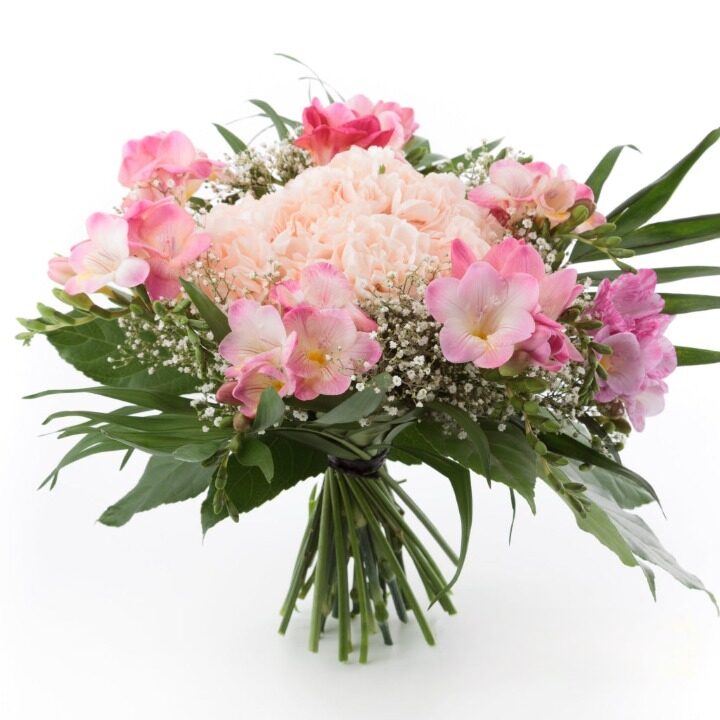 Tender Pink Freesia and Carnation Bouquet | Send Flowers to Ukraine