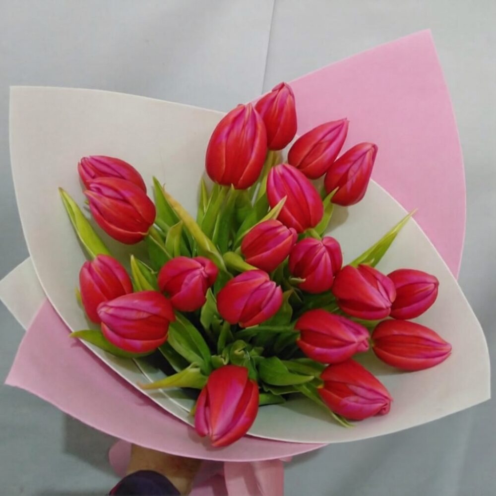 Vivid Tulips Bouquet - 19 Fresh Spring Tulips