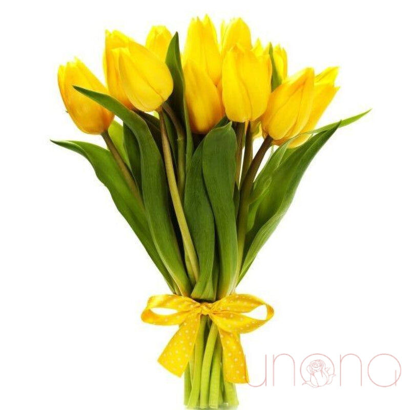 Wonderful Tulips Bouquet (Regular)