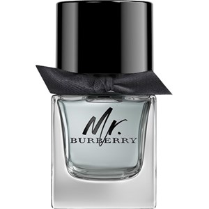 Mr. Burberry Eau De Toilette Spray By Burberry (100 ml)