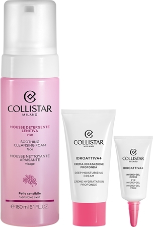 Cleansing Mousse Face Gift Set