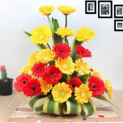 Twin Color Gerbera Arrangement (10 Red and 10 Yellow Gerbera Arrangement)