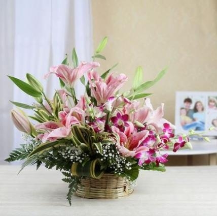 Basket of Pink Lilies (6 Lilies)