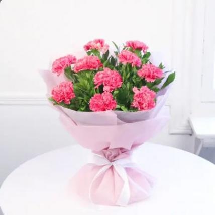Pink Carnation Bouquet (24 Flower)